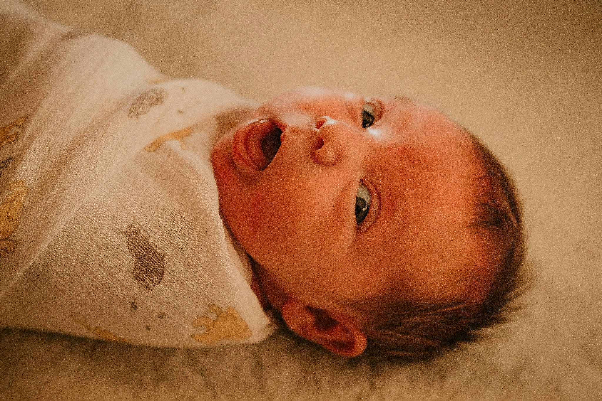 Cecilia is registered to the contest to win money with this photo: baby, baby_toddler_clothing, cheek, comfort, dress, eye, eyebrow, eyelash, forehead, happy, headgear, human_body, iris, lip, neck, nose, person, skin, sleeve, toddler