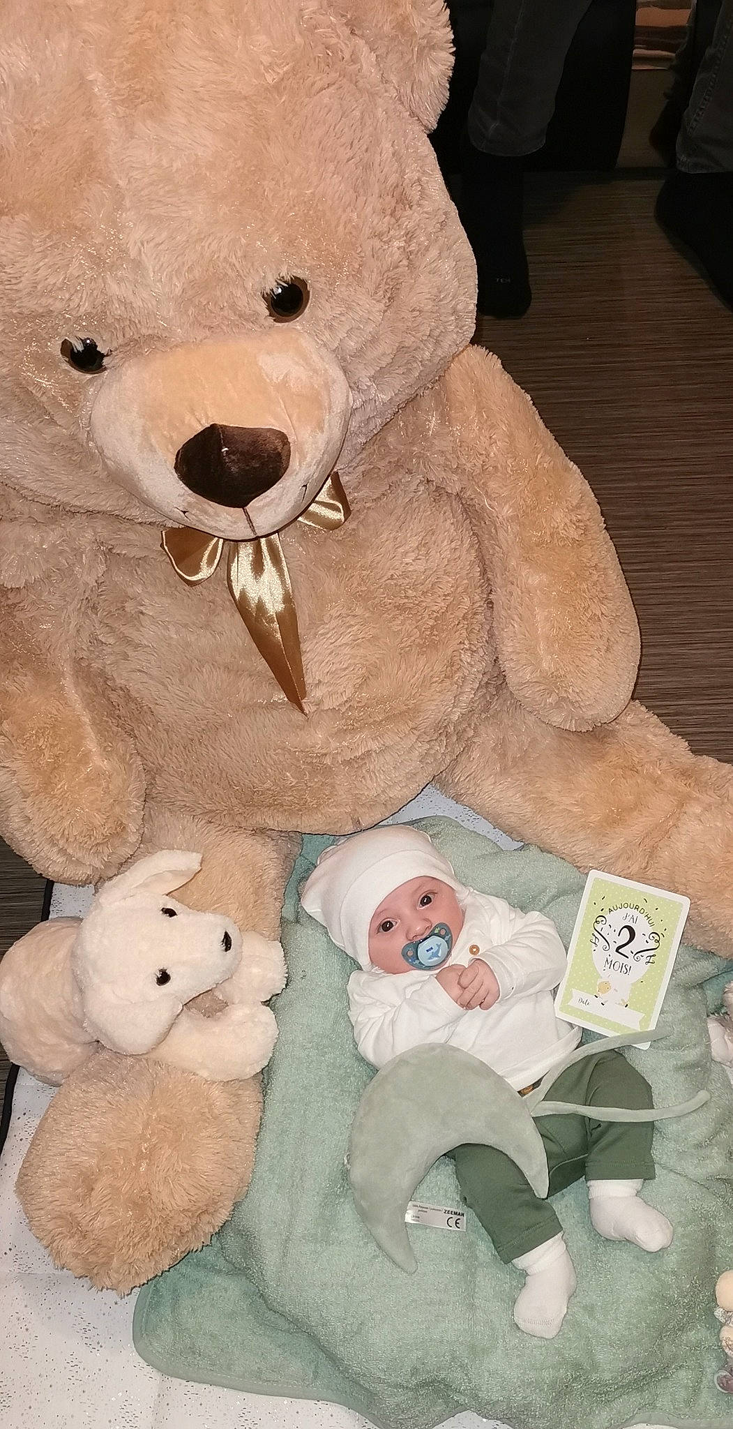 Aylan participe au concours pour gagner de l'argent avec cette photo : baby_toys, bear, beige, fur, headwear, linens, mammal, person, plush, room, stuffed_toy, teddy_bear, textile, toy, vertebrate, white