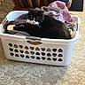 cat, laundry_basket, towel, indoor, carpet, furniture, wooden, black_and_white_cat, relaxing, pet, animal, cozy, home, resting, tuxedo_cat, domestic_cat, curled_up, comfortable, household, lazy_cat
