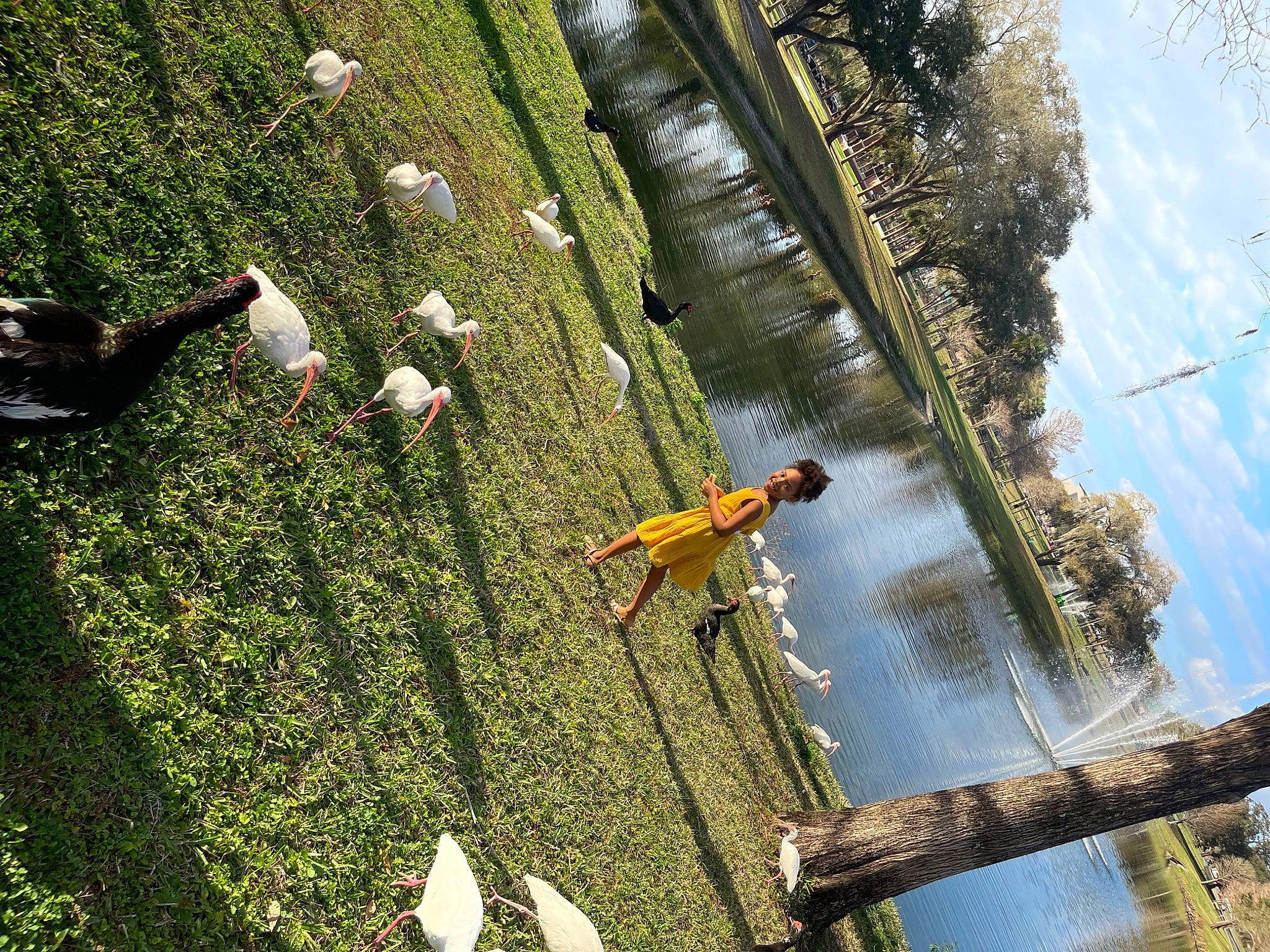 Alyssa is registered to the contest to win money with this photo: biome, body_of_water, botany, grass, grass_family, groundcover, joy, landscape, leaf, leisure, nature, organism, person, plant, reflection, sky, tree, vegetation, water, watercourse