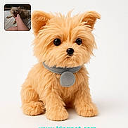 Sophia is registered to the contest to win money with this photo: adorable, animal, brown, collar, companion, cute, dog, fluffy, furry, hand, inset_photo, person, pet, plushie, portrait, sitting, small_dog, soft, toy, white_background
