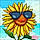 Robin H.