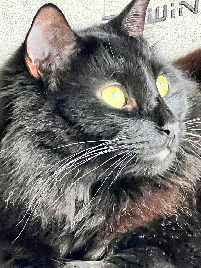 Dexter