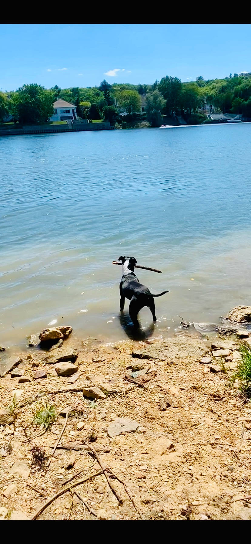 Nesta a rejoint le concours — aidez-le/la à gagner de superbes lots ! bank, beach, coast, cycling, lake, landscape, leisure, penguin, plant, recreation, reservoir, sand, seabird, shore, sky, tree, water, water_resources, wheel, wood