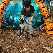 Fido is registered to the contest to win money with this photo: autumn, background, black_dog, casual_clothing, celebration, costume, decorations, dog, festive, graveyard, halloween, inflatable_arch, jack_o_lantern, leaves, outdoor, pine_needles, posing, smiling, trees, woman