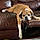 Tobie