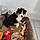 Amy