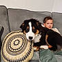 boy, canine, carpet, casual, child, clothing, couch, cozy, dog, furniture, home, indoor, living_room, pet, pillow, puppy, relaxing, smiling, tricolor, young_boy
