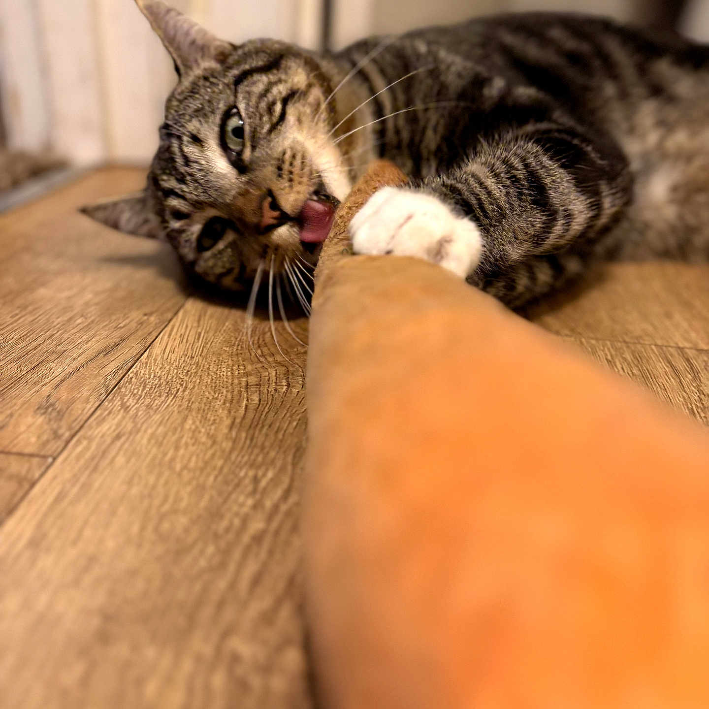 Max