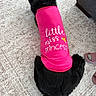 accessory, back_view, black_dog, carpet, cute, dog, fabric, fur, home, indoor, laying_down, pet, pet_clothing, pink_shirt, princess, relaxed, shirt_text, slippers, sofa, top_down