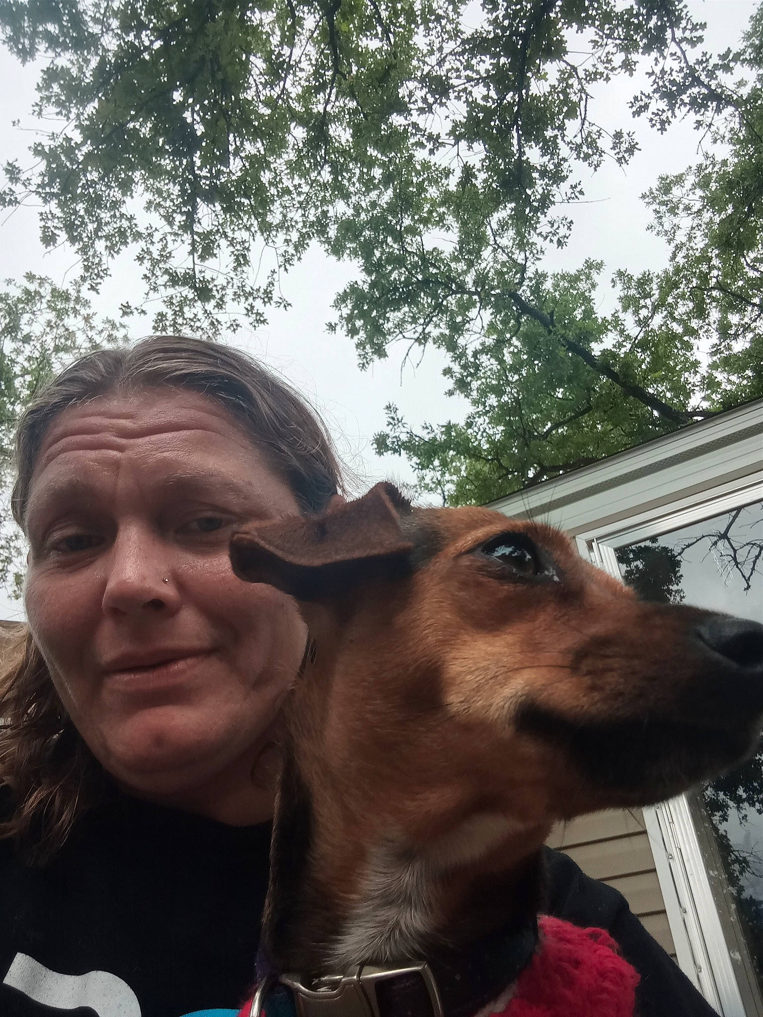 Abby is registered to the contest to win money with this photo: canidae, carnivore, collar, companion_dog, dog, dog_breed, dog_collar, ear, eyewear, fawn, fun, fur, pack_animal, selfie, sky, snout, sporting_group, travel, tree, working_animal
