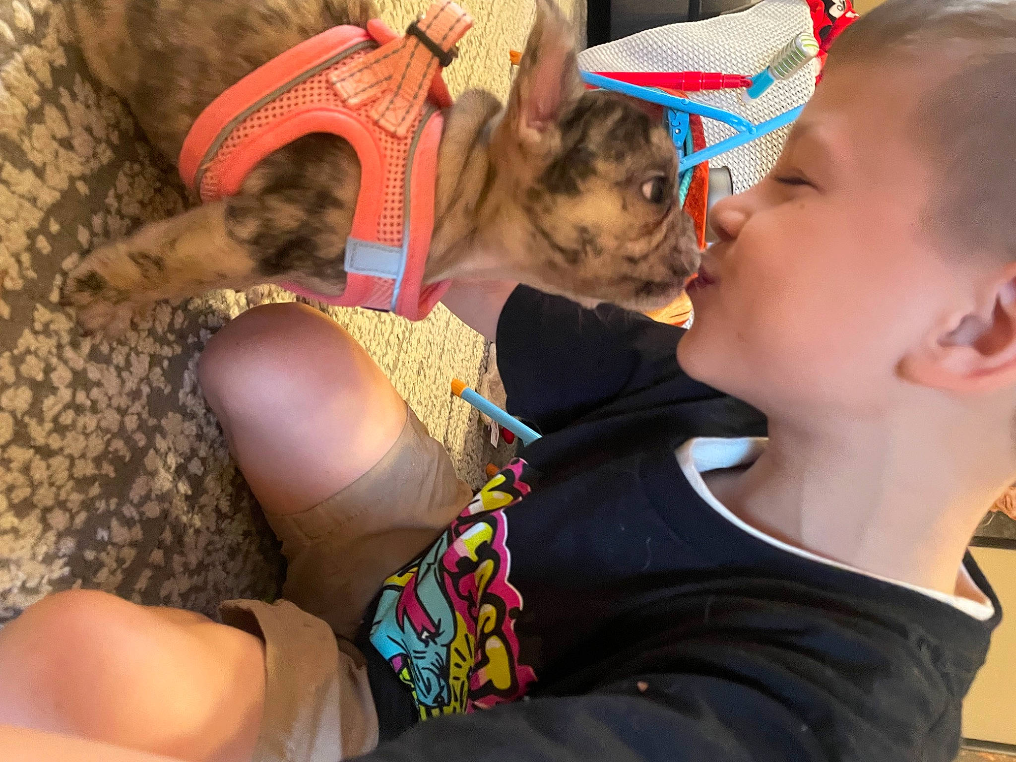 Lola joined the competition — help win amazing prizes! child, companion_dog, dog, dog_breed, ear, fashion_accessory, fawn, finger, happy, hat, human_leg, lap, leisure, mammal, nail, play, skin, t_shirt, toddler, vertebrate