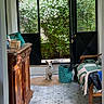 bag, chair, cushion, dog, domestic, door, floor_tiles, flowers, greenery, home_interior, indoor, open_door, pet, plant, quilt, relaxing, rug, sunlight, window, wooden_cabinet