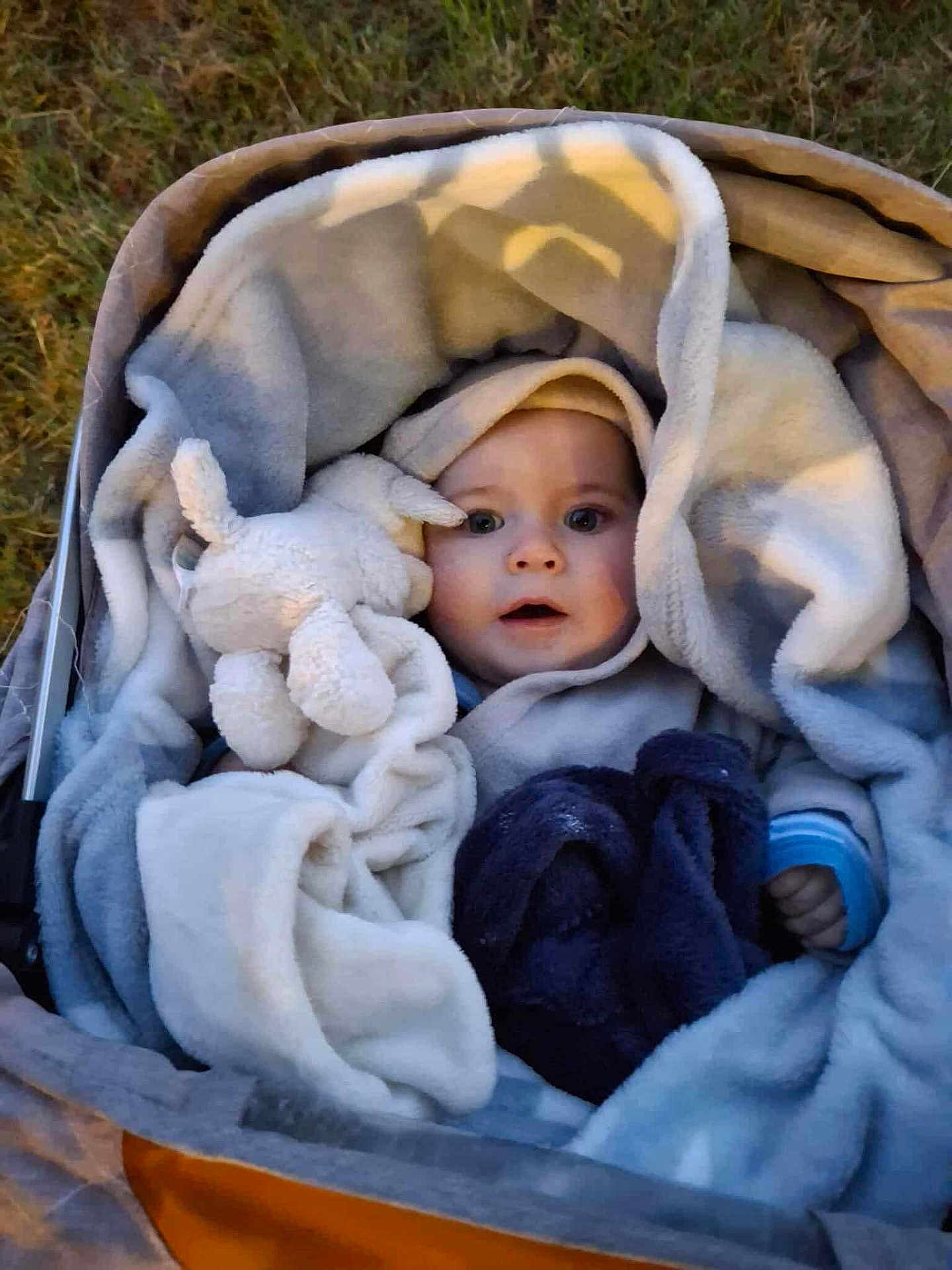 Romain a rejoint le concours — aidez-le/la à gagner de superbes lots ! baby, blanket, plush_toy, stroller, outdoor, soft_texture, child, cute, warm, wrapped, face, blue_clothing, comfort, expression, toy, infant, cozy, person, nest, curious