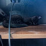 cat, black_cat, sleeping, wooden_shelf, cables, indoor, resting, quiet, feline, pet, dark, patterned_wall, cozy, animal, fur, still_life, calm, home, shelf, relaxing