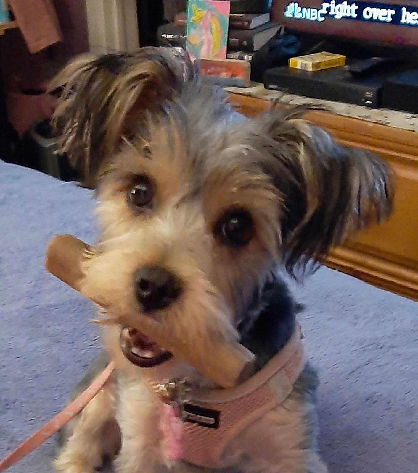 Coco