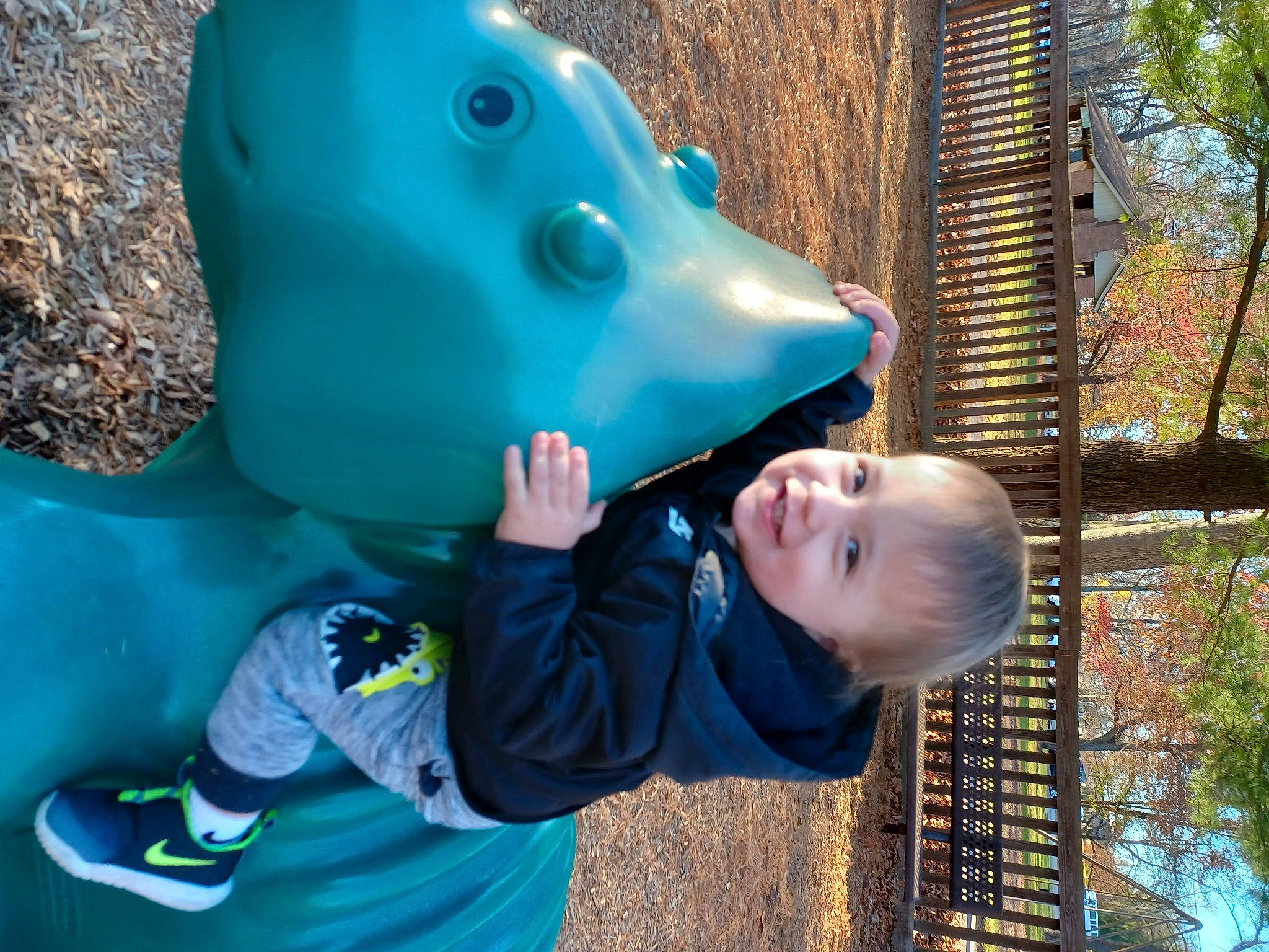 Luther is registered to the contest to win money with this photo: _geese_and_swans, baby, baby_toddler_clothing, child, clothing, ducks, electric_blue, fun, grass, happy, joy, leisure, people_in_nature, person, personal_protective_equipment, photograph, plant, play, recreation, smile
