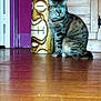 Vinyl participe au concours pour gagner de l'argent avec cette photo : cat, tabby_cat, wooden_floor, tiki_statue, indoor, furniture, door, carving, animal, pet, glowing_eyes, wood, floor, sitting, feline, domestic_cat, decor, house, mystical, flash