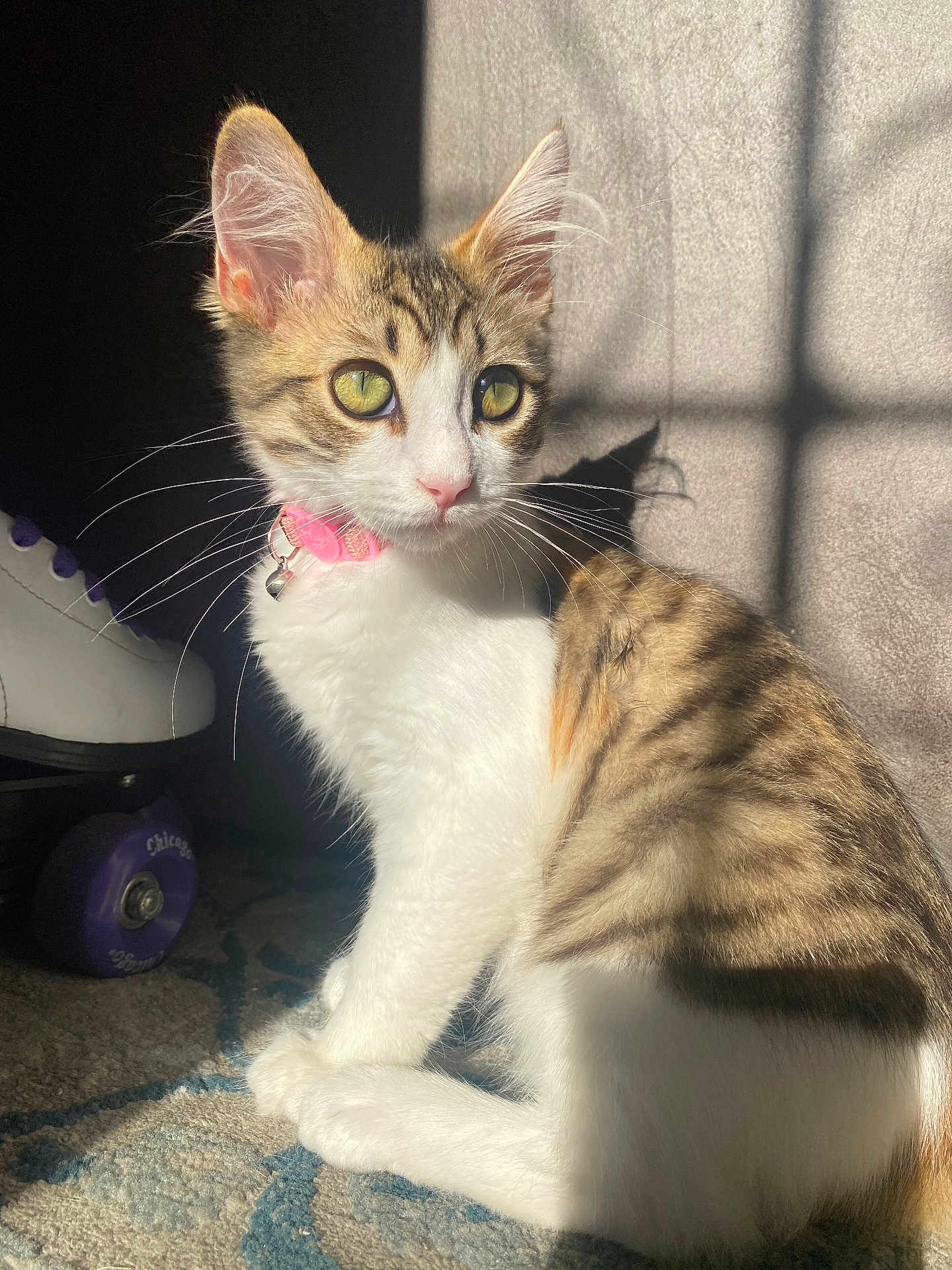 Nala