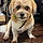 Charley
