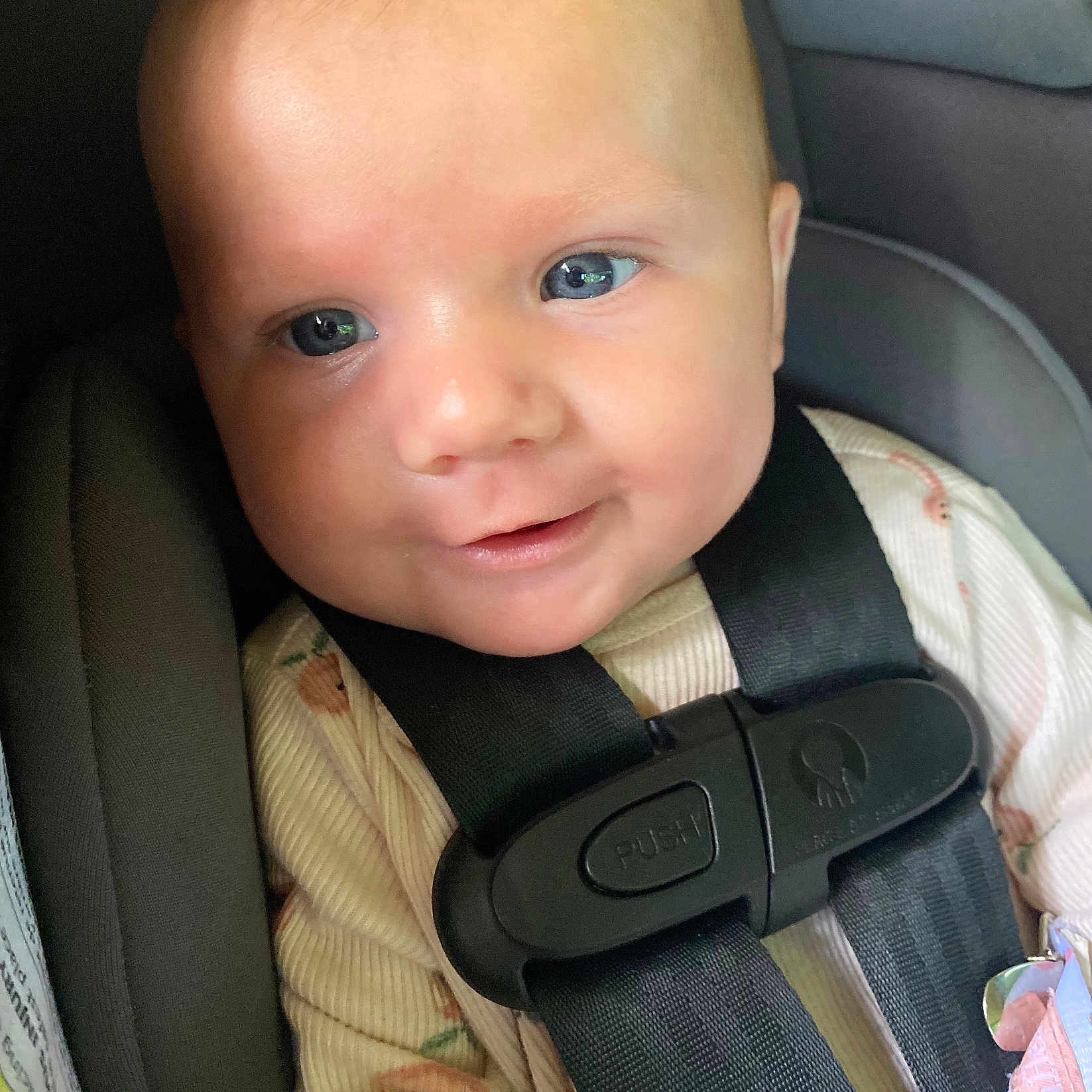 Delilah Rose Knight joined the competition — help win amazing prizes! baby, car_interior, car_seat, child, close_up, clothing, cute, eyes, face, happy, head, infant, infant_clothes, person, safety_harness, seat_belt, skin, smile, straps, young