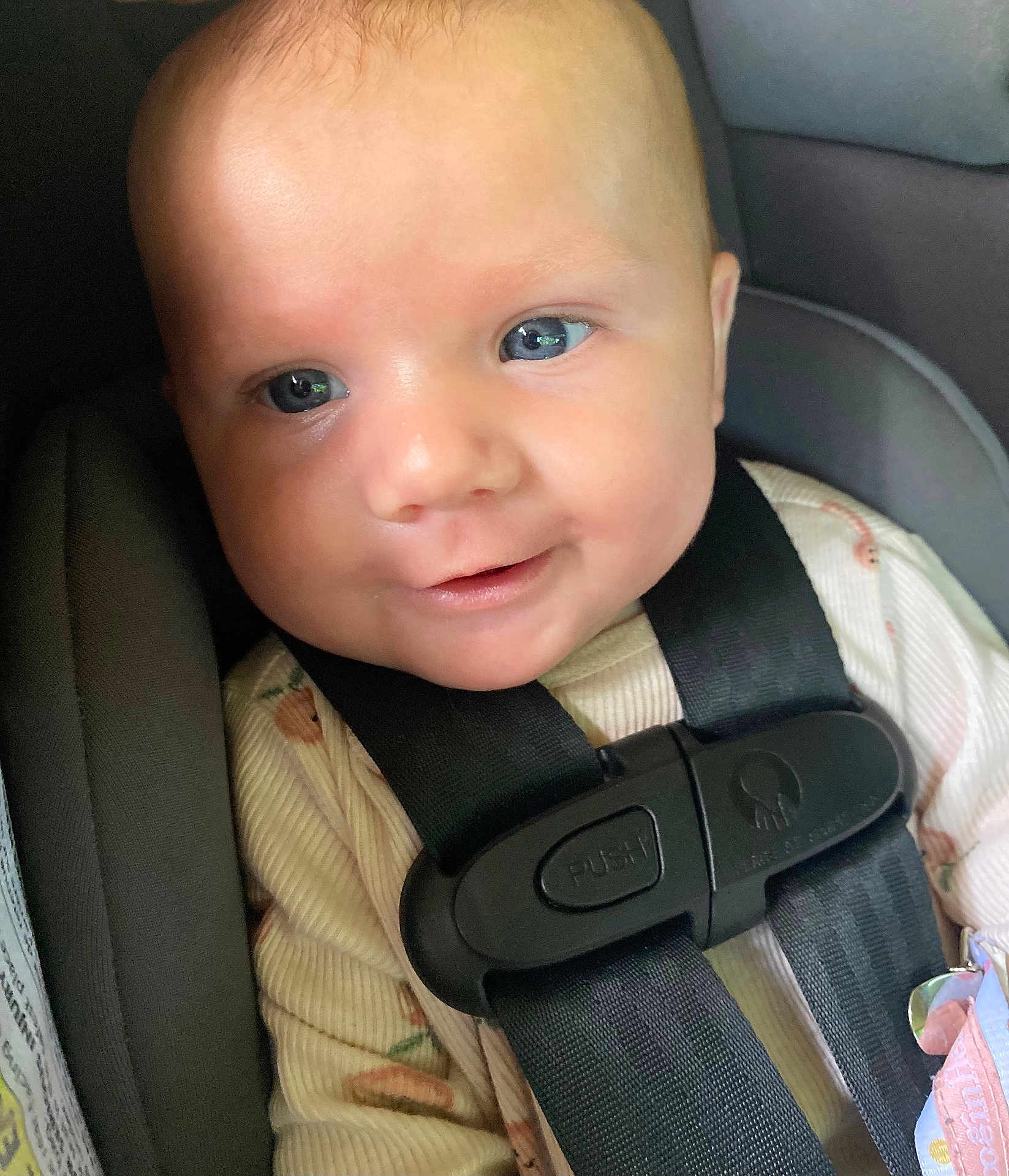 Delilah Rose Knight
