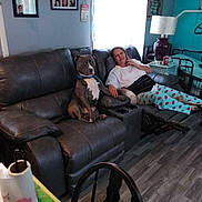 Max is registered to the contest to win money with this photo: dog, person, couch, leather, living_room, pajamas, phone, window, curtains, lamp, table, floor, wall_art, shelf, photo_frames, cup, can, relaxed, seated, home_interior