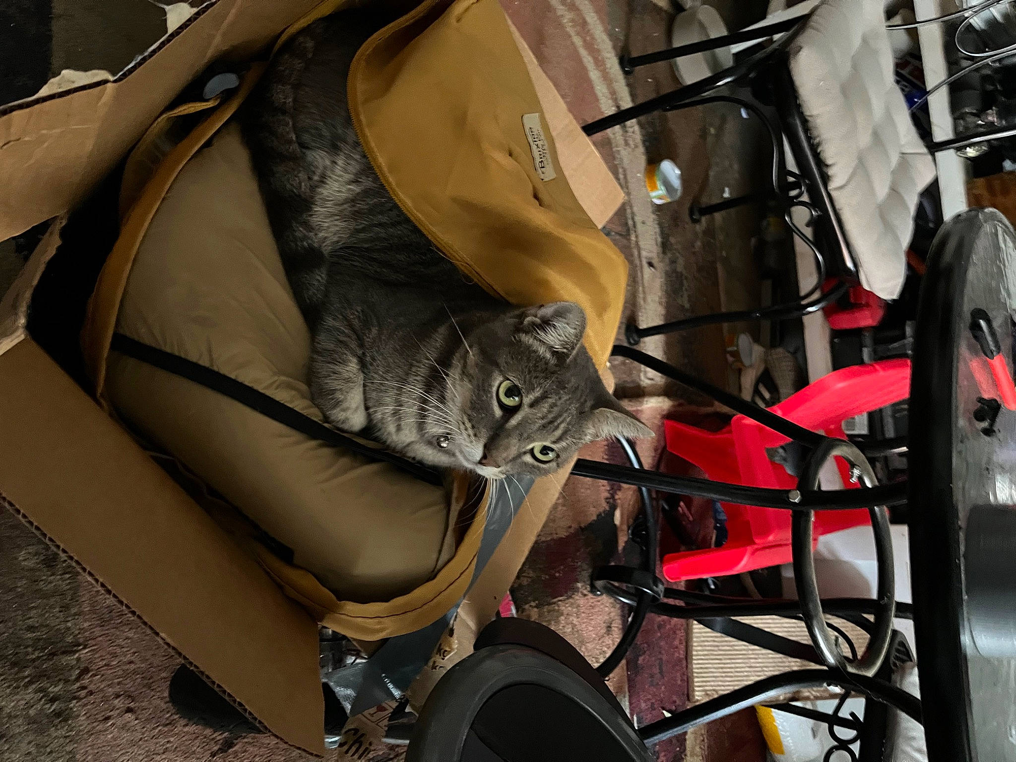 Jasper is registered to the contest to win money with this photo: auto_part, automotive_design, automotive_exterior, automotive_lighting, automotive_tire, automotive_wheel_system, bag, bicycle_handlebar, bicycle_tire, fender, hood, luggage_and_bags, motor_vehicle, motorcycle, rim, tire, trunk, vehicle, vehicle_door, wheel