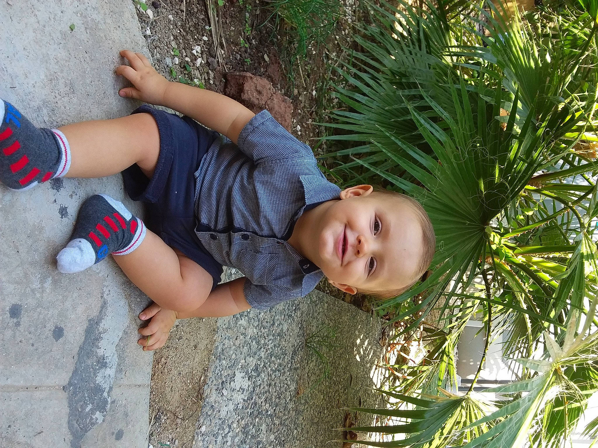 Gianni participe au concours pour gagner de l'argent avec cette photo : child, joy, leisure, person, plant, tree, vacation