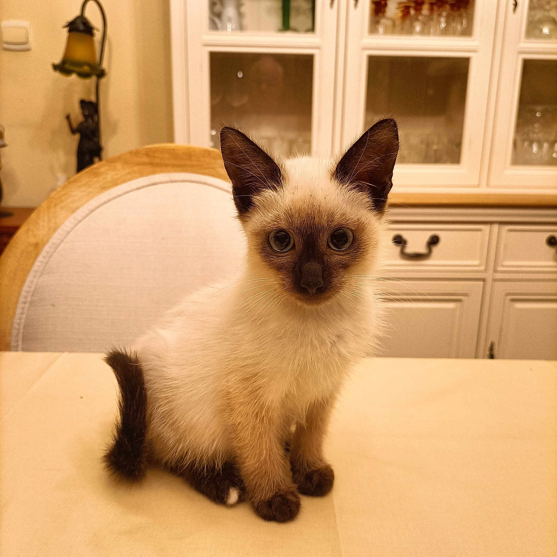 Poupette