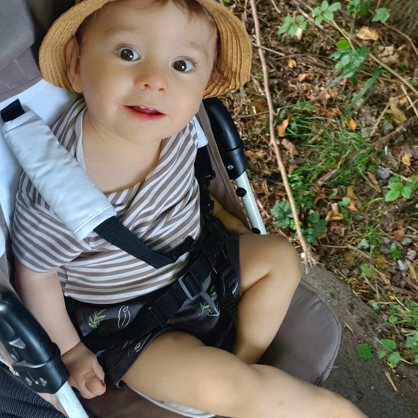 Noah William Bastos a rejoint le concours — aidez-le/la à gagner de superbes lots ! baby, child, curious, footwear, happy, hat, leaves, nature, outdoor, person, playful, portrait, seat_belt, shorts, smiling, striped_shirt, stroller, summer, toddler, tree_bark