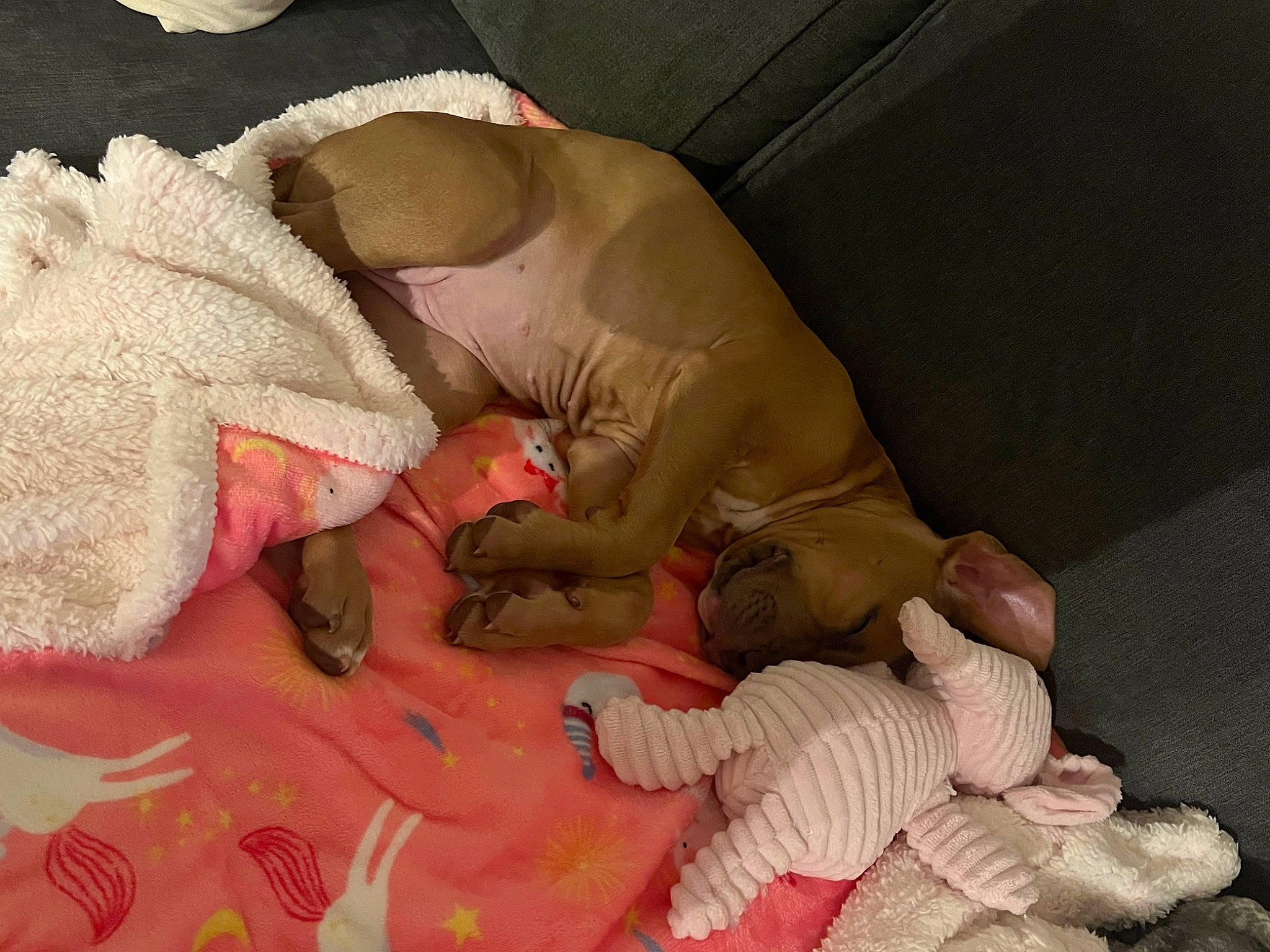 Miya is registered to the contest to win money with this photo: baby, bed_sheet, bedding, bedtime, carmine, child, comfort, fawn, finger, flesh, flooring, human_leg, linens, nail, pattern, peach, room, stuffed_toy, thumb, toy