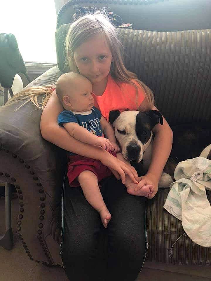 Sara is registered to the contest to win money with this photo: canidae, carnivore, child, companion_dog, dog, dog_breed, fawn, person, puppy_love