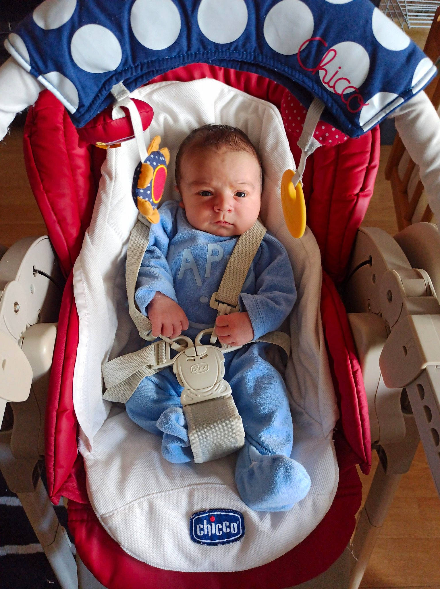 Hélios a rejoint le concours — aidez-le/la à gagner de superbes lots ! baby, baby_carriage, baby_in_car_seat, baby_products, baby_safety, baby_toddler_clothing, carmine, chair, child, comfort, facial_expression, fun, happy, human, lap, organ, person, product, sitting, toddler