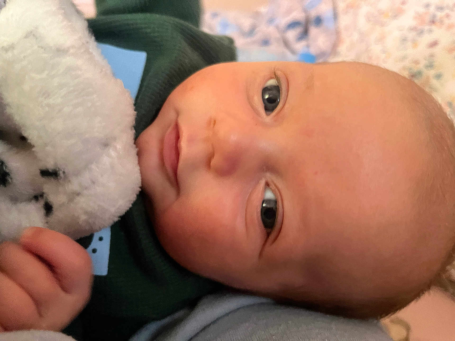 Parker is registered to the contest to win money with this photo: baby, closeup, face, infant, soft_toy, blanket, hand, skin, eyes, expression, cute, child, portrait, warm, cozy, indoor, newborn, comfort, clothing, sleepwear