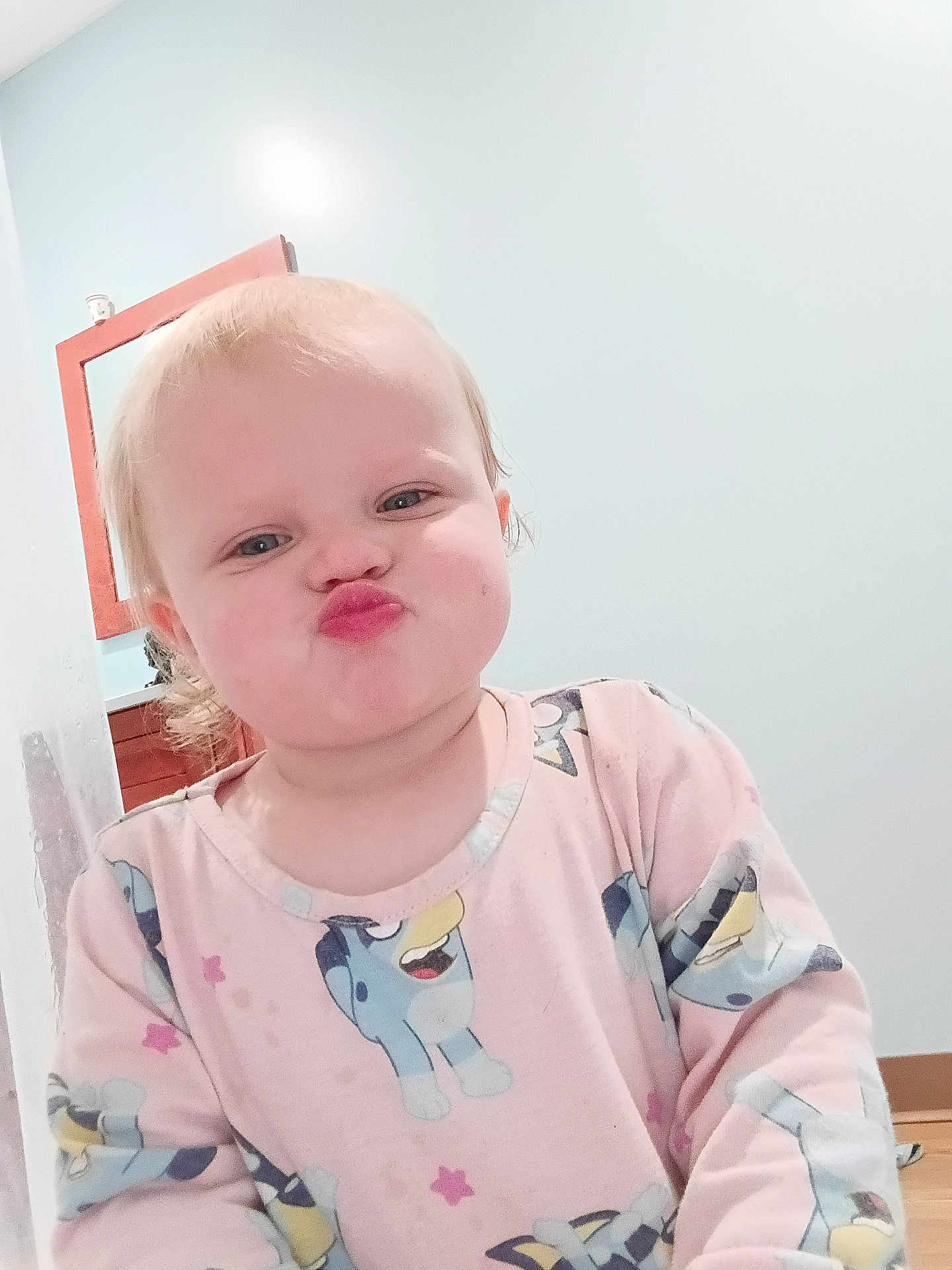 Jenasys