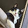 Titou