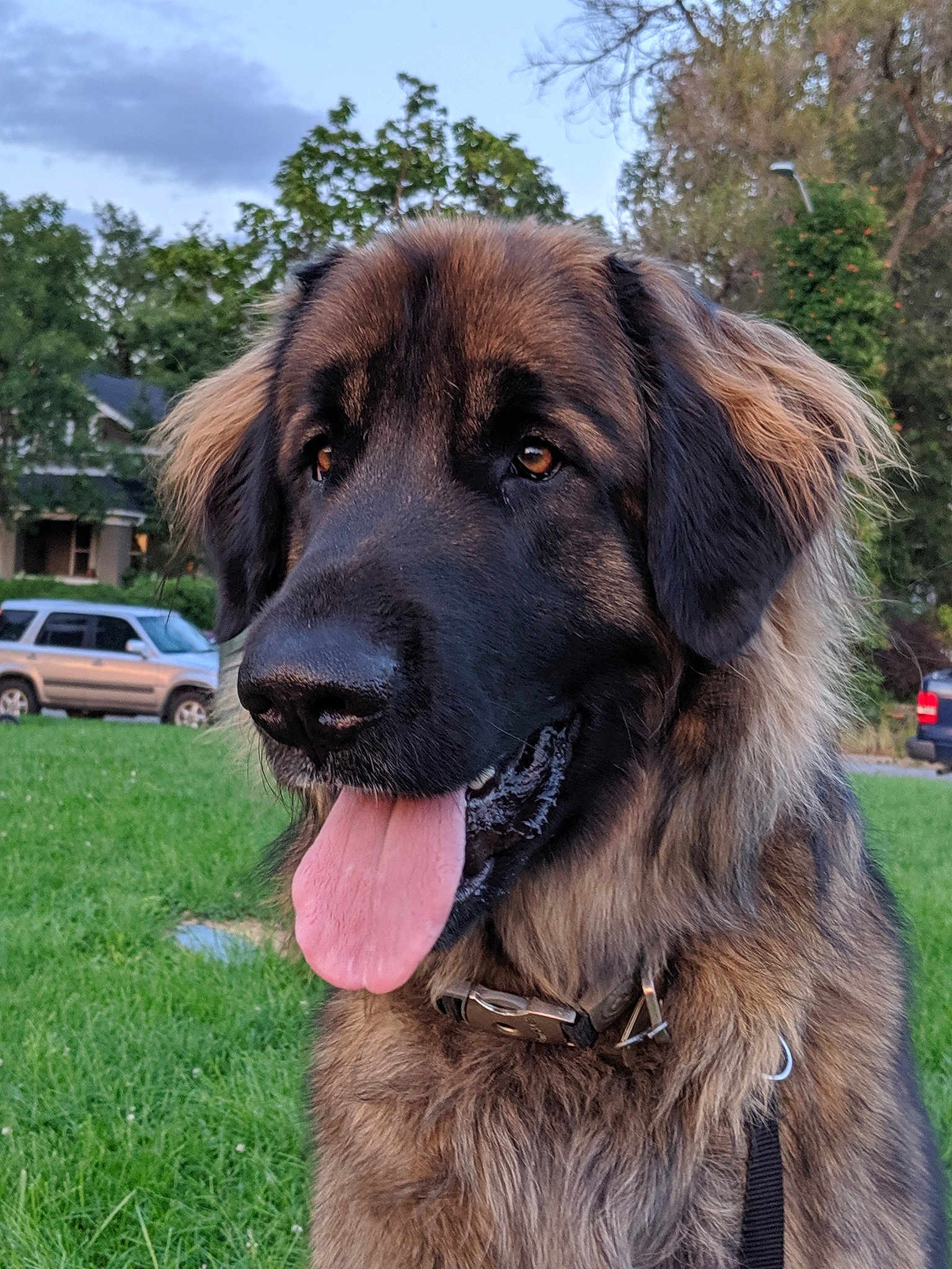 Apollo