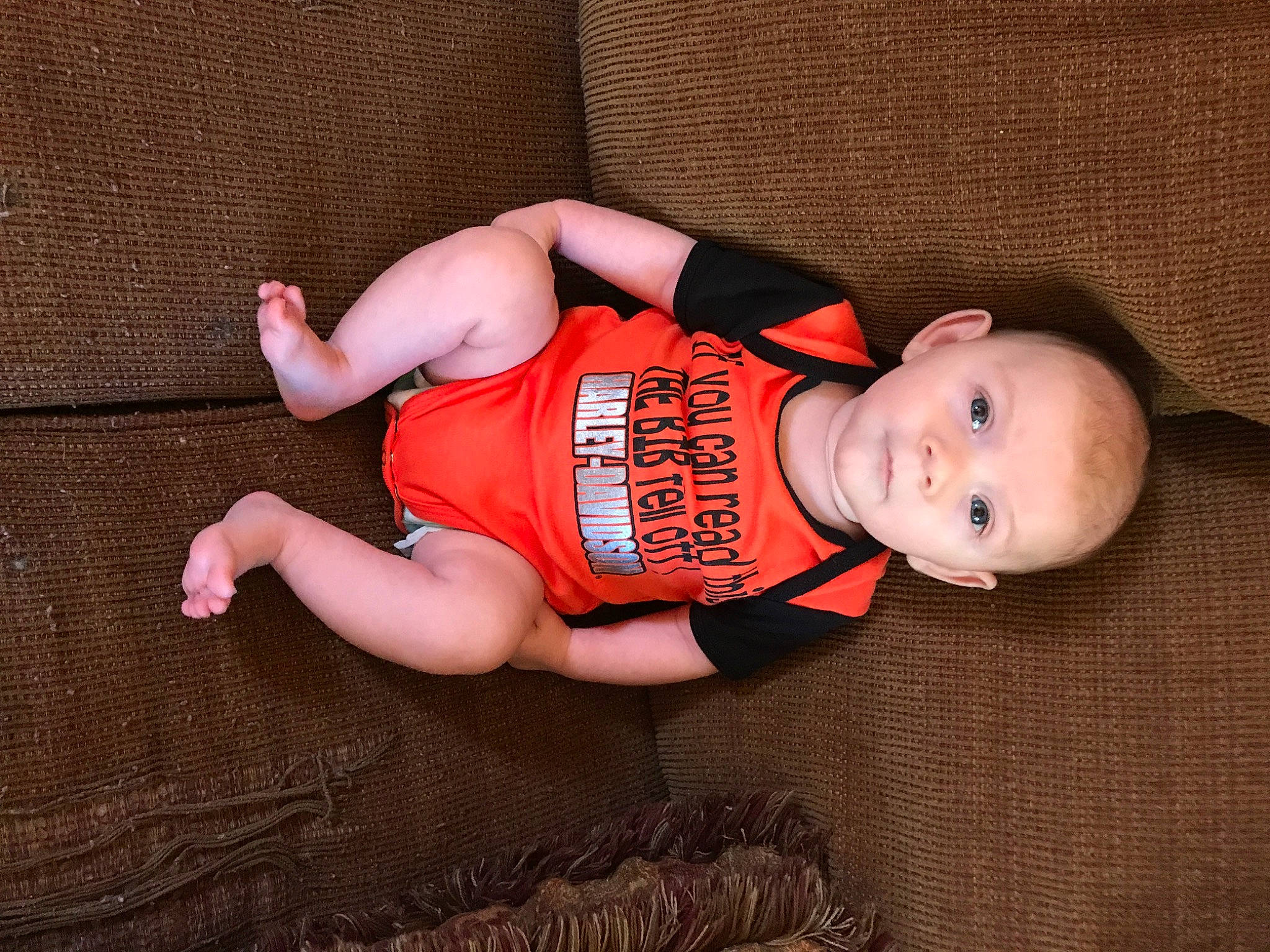 Leyton joined the competition — help win amazing prizes! abdomen, baby, baby_toddler_clothing, chest, comfort, elbow, flash_photography, foot, headgear, human_body, knee, leg, mouth, person, stomach, thigh, toddler, trunk, waist, wood