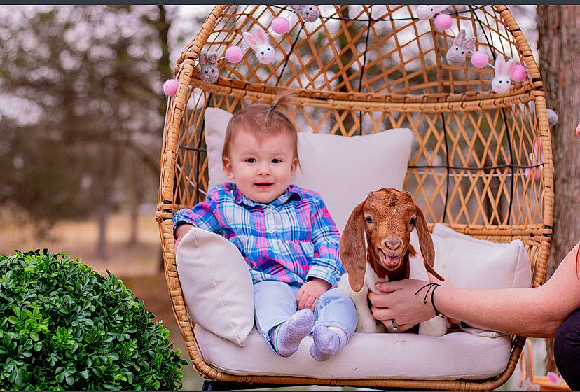 Addilyn is registered to the contest to win money with this photo: baby, beauty, carnivore, child, comfort, couch, dress, fawn, fun, grass, green, happy, leisure, mammal, people_in_nature, person, photograph, smile, toy, tree