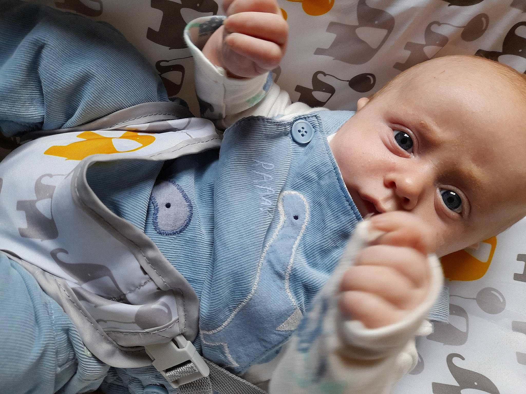Freddie Jay is registered to the contest to win money with this photo: baby, baby_products, baby_sleeping, baby_toddler_clothing, cheek, child, comfort, finger, gesture, happy, linens, nail, nose, pattern, person, personal_protective_equipment, skin, sleeve, thumb, toddler