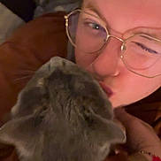 Mystie a rejoint le concours — aidez-le/la à gagner de superbes lots ! casual, cat, close_up, comfort, cozy, cuddle, eyewear, face, furry, glasses, gray_cat, hand, indoor, person, pet, pucker, selfie, smartwatch, warm_lighting, watch
