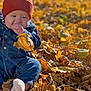 baby, child, autumn, leaves, denim, beanie, outdoor, fall, nature, cute, seasonal, portrait, baby_clothes, leaf, sitting, soft_light, casual, infant, warm_colors, playful