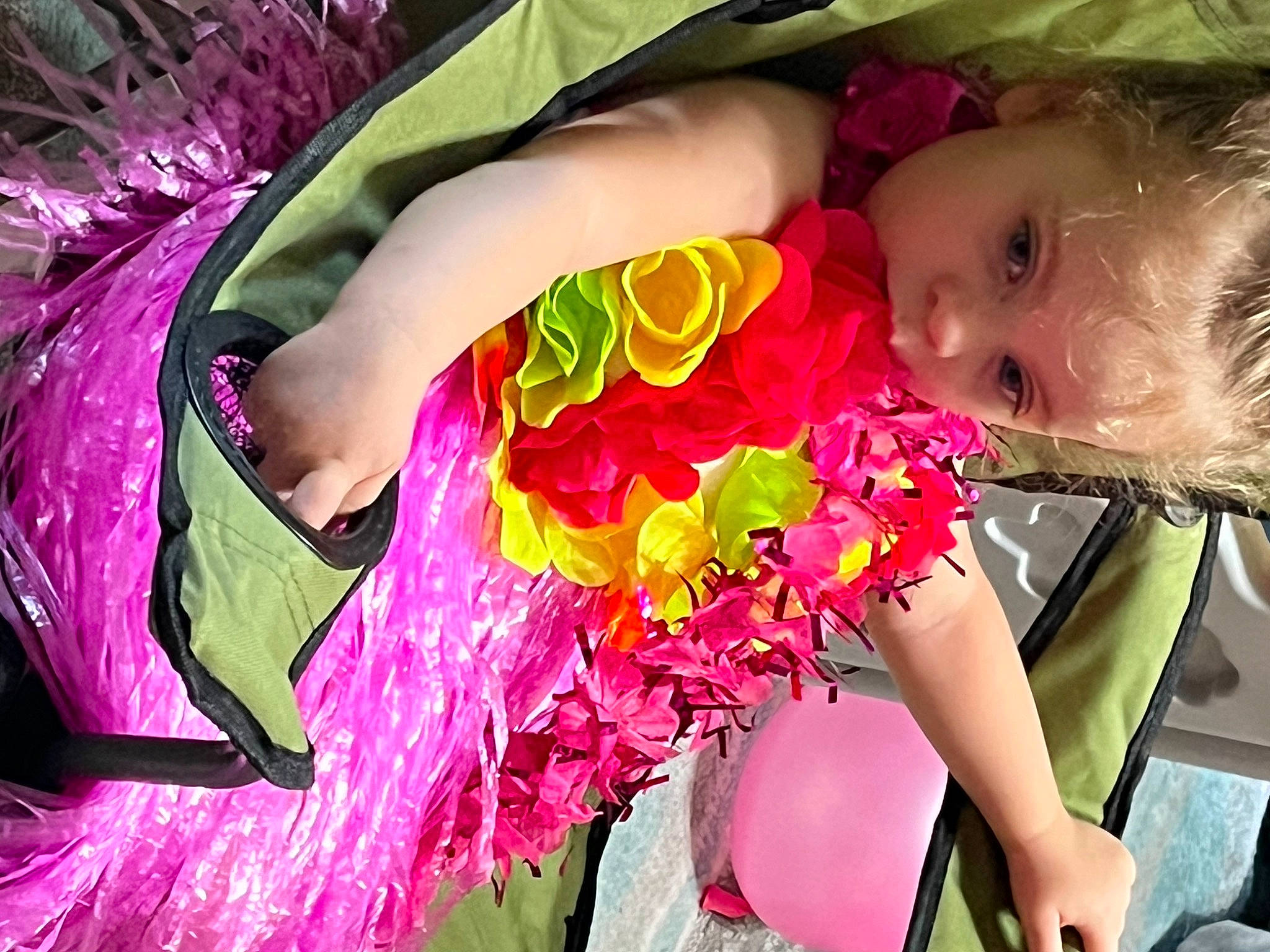 Emily is registered to the contest to win money with this photo: baby, baby_toddler_clothing, beauty, costume, event, fashion, fun, happy, human, magenta, pattern, person, pink, plant, purple, red, sunglasses, toddler, tradition, tree
