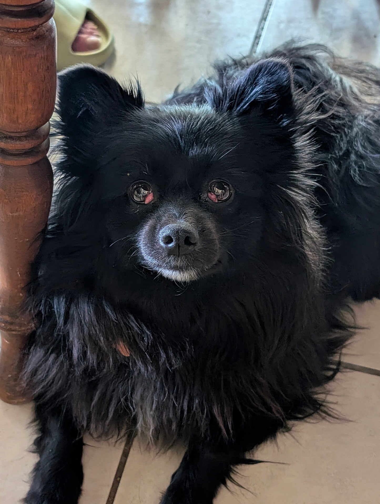 Angel