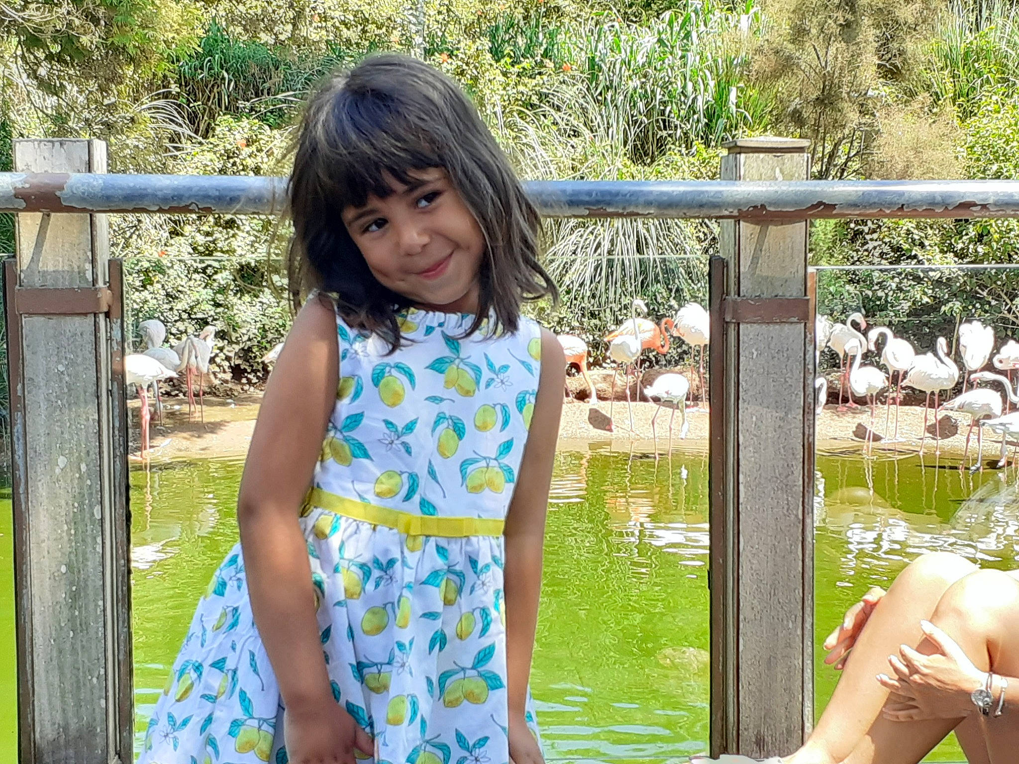 Lina participe au concours pour gagner de l'argent avec cette photo : baby_toddler_clothing, bangs, bird, day_dress, dress, fence, joy, one_piece_garment, person, pond, summer, water_feature