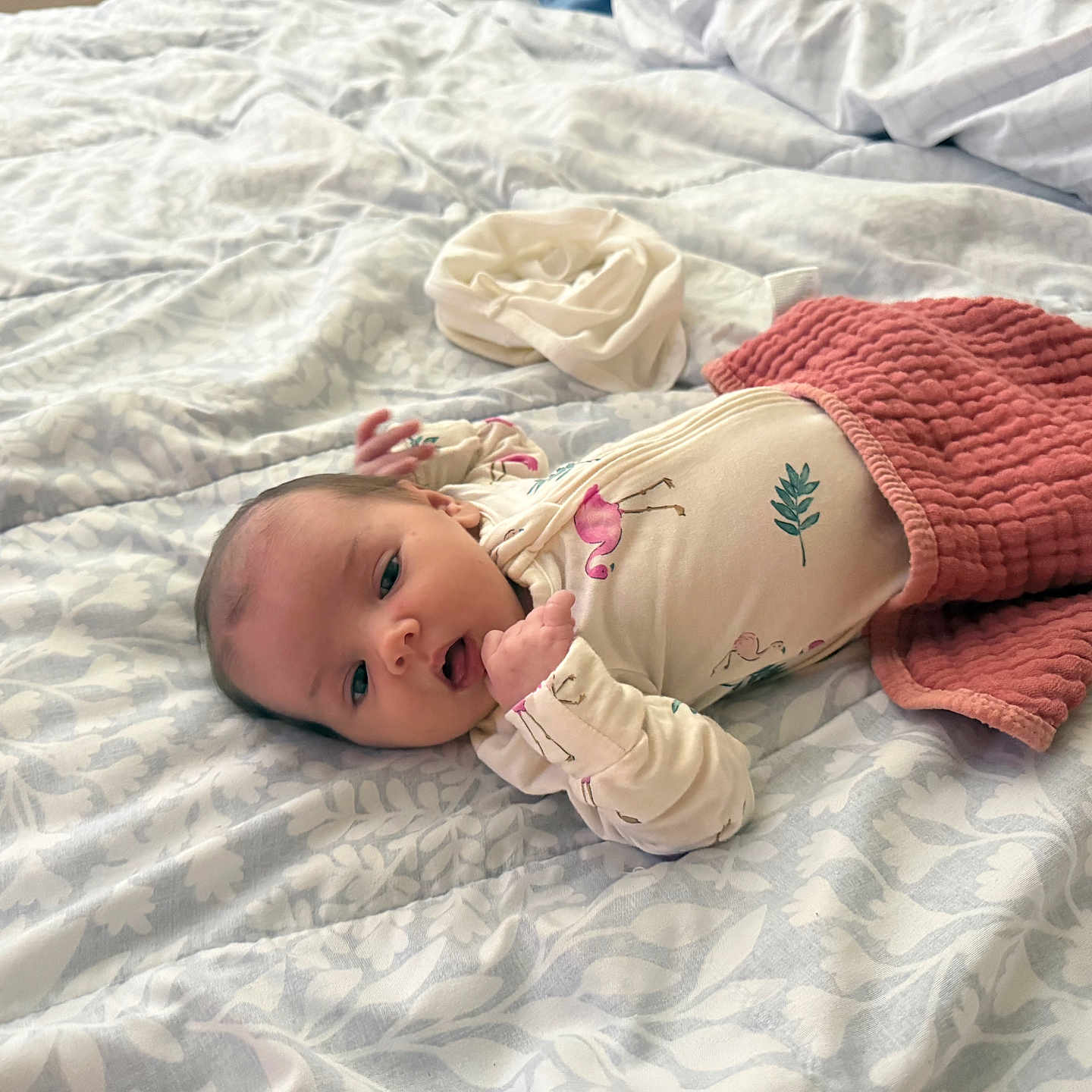 Remi is registered to the contest to win money with this photo: baby, infant, bed, blanket, clothing, face, person, sleepwear, cute, newborn, pattern, textile, resting, indoors, soft, flamingo, pink, white, lying_down, curious