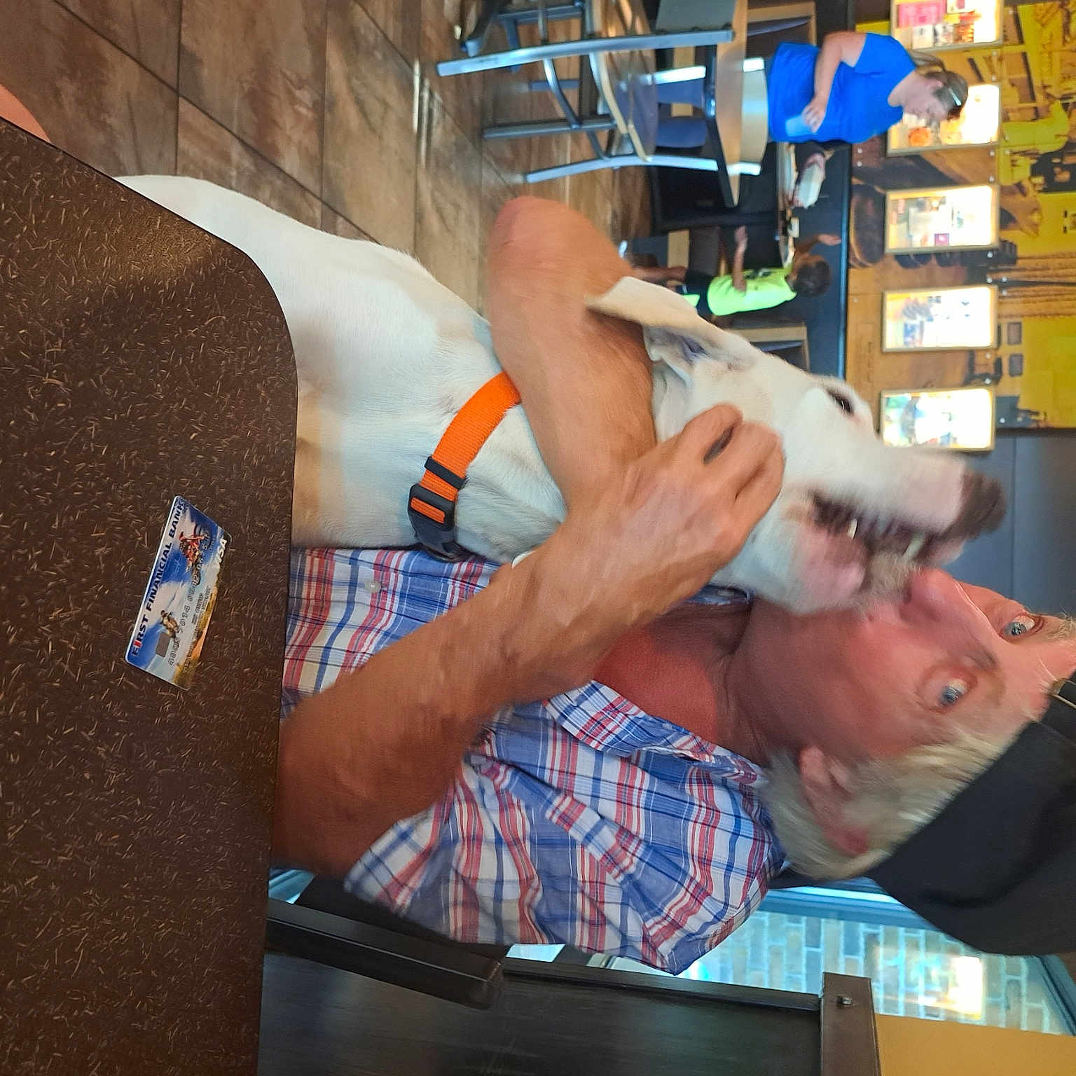 Toby joined the competition — help win amazing prizes! arm, beer, elbow, engineering, eyewear, finger, fun, human_leg, job, machine, pattern, plaid, room, t_shirt, tartan, wrist