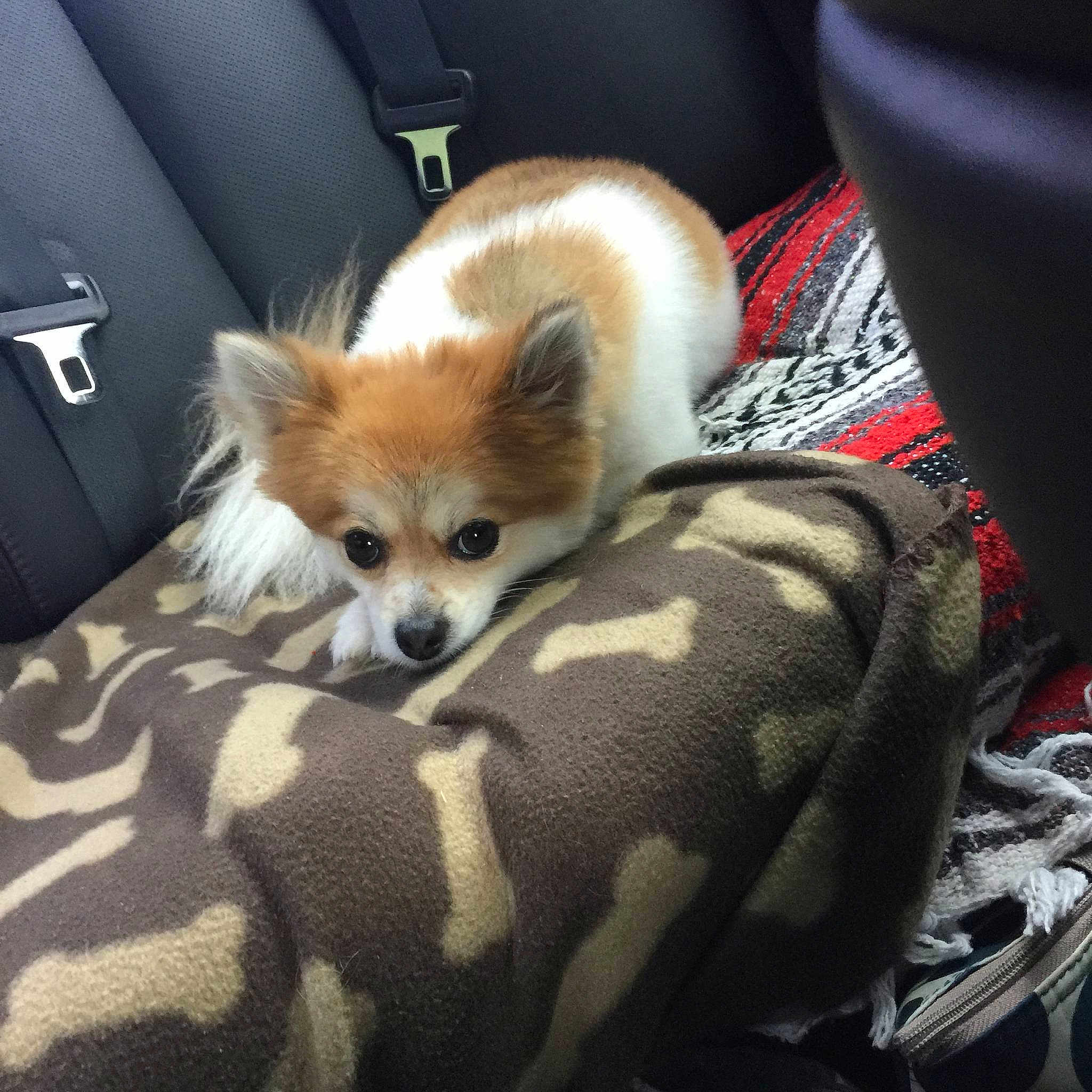 Riley