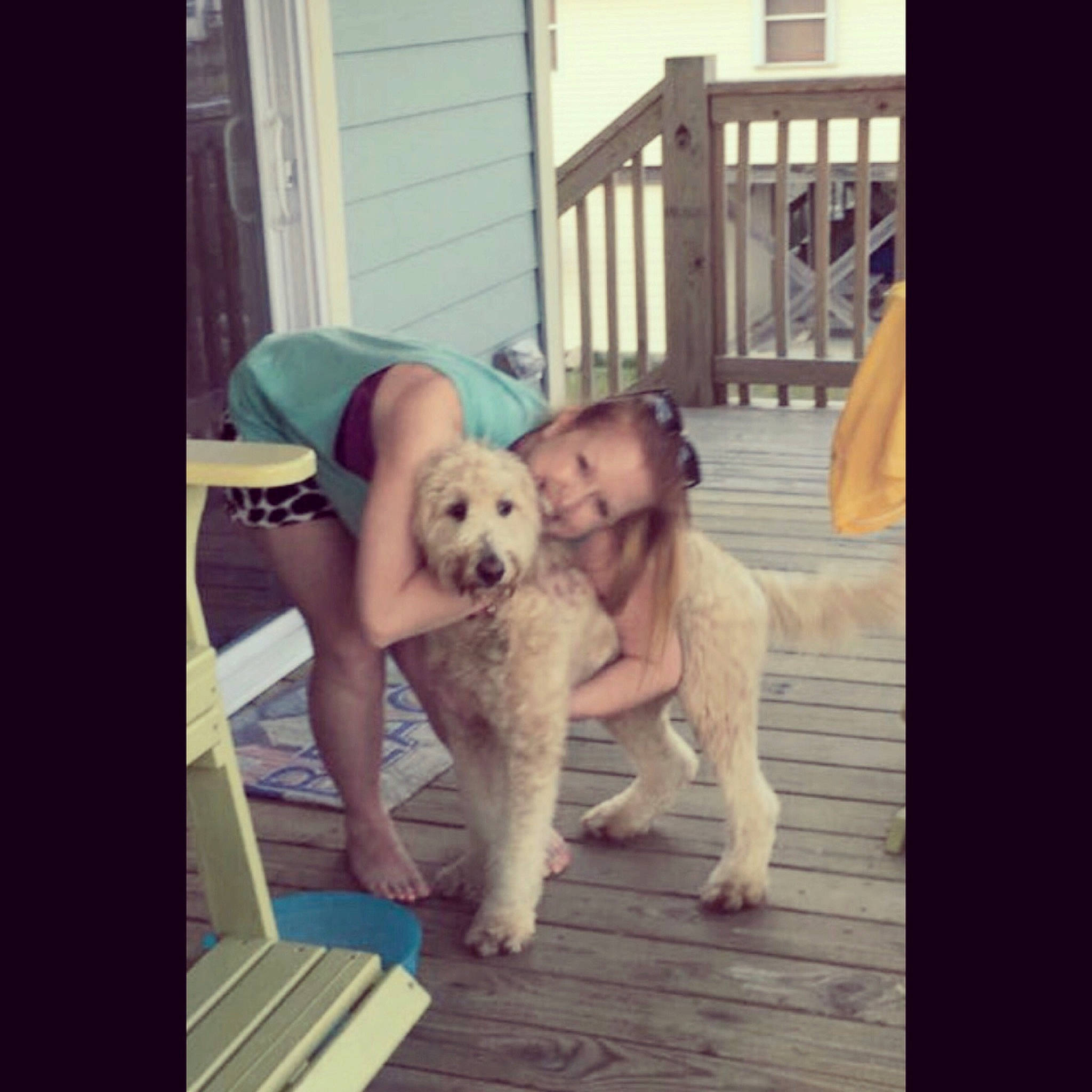 Ellie is registered to the contest to win money with this photo: american_bulldog, canidae, carnivore, companion_dog, dog, dog_breed, fawn, french_bulldog, labrador_retriever, love, mammal, non_sporting_group, photo_caption, puppy, puppy_love, retriever, selfie, snapshot, sporting_group, square